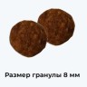 Суперпремиальный беззерновой рацион Doctrine для взрослых кошек с лососем и белой рыбой