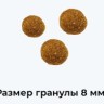 Полнорационный беззерновой сухой корм DOCTRINE для стерилизованных кошек и кастрированных котов с индейкой и лососем