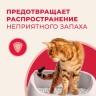 Van Cat комкующийся наполнитель "100% Натуральный", без пыли, бентонит, пакет, гранулы 0,5 - 2,25мм, (Natural)
