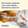 AVANCE полнорационный сухой корм для взрослых кошек с индейкой и бурым рисом