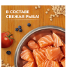 NOW'KITCHEN Fresh беззерновой корм для взрослых кошек со свежей форелью, лососем и овощами, Adult Grain-free Recipe, Trout, Salmon