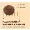 NOW'KITCHEN Fresh беззерновой корм для взрослых кошек со свежей индейкой, уткой, лососем и овощами, Adult Grain-free Recipe, Turkey, Duck, Salmon