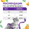 DELICANA сухой корм для взрослых кошек с чувствительным пищеварением с индейкой