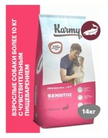Karmy Сенсетив Медиум и Макси Лосось