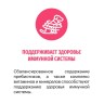 Karmy Сенсетив Медиум и Макси Лосось