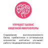 Karmy Сенсетив Медиум и Макси Лосось