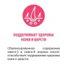 Karmy Сенсетив Медиум и Макси Лосось
