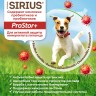 SIRIUS сухой корм для взрослых собак МЕЛКИХ ПОРОД с пробиотиками ИНДЕЙКА 