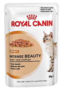 Royal canin sales intense beauty gravy