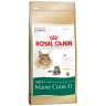 Royal Canin Maine Coon 31