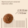 NOW'KITCHEN беззерновой сухой корм для взрослых собак со свежей индейкой, уткой, лососем, adult grain-free, fresh turkey, duck, salmon