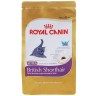 Royal Canin Kitten British Shorthair