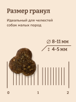 NOW'KITCHEN беззерновой сухой корм для взрослых собак мелких пород со свежей форелью, лососем, mini adult grain-free, fresh trout, salmon