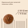 NOW'KITCHEN беззерновой корм для пожилых собак старше 7 лет со свежей индейкой, уткой, лососем, 7+ grain-free, fresh turkey, duck, salmon 