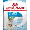 Royal Canin Mini Starter
