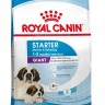 Royal Canin Giant Starter