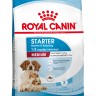 Royal Canin Medium Starter