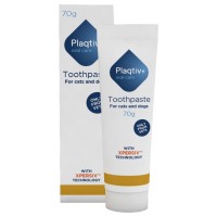 Plaqtiv Toothpaste Ecuphat NV,70гр
